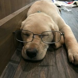 Meet your Posher, Kel